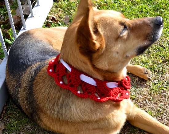 collar bijutería para mascota